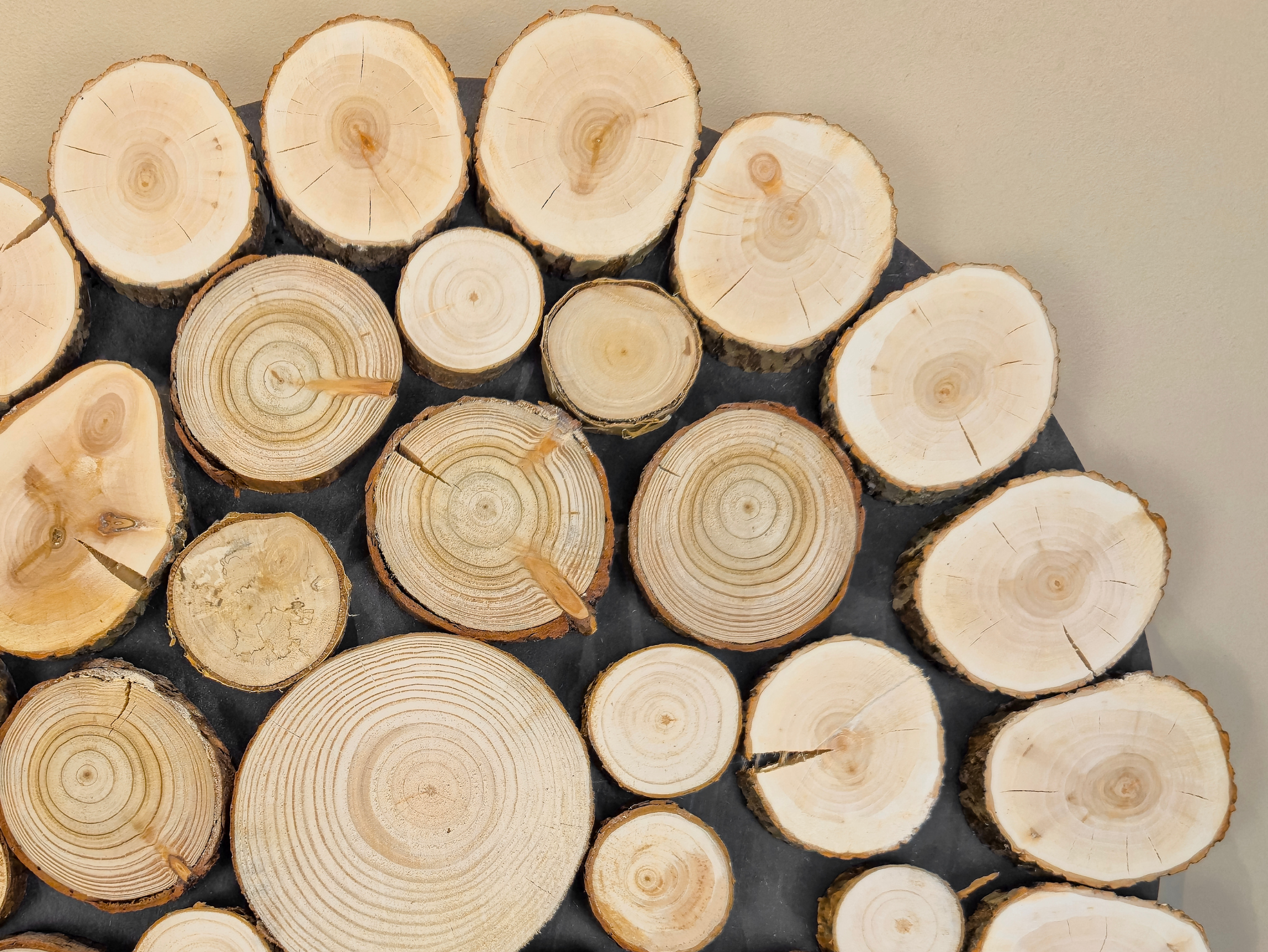 Obraz dekoracja okrąg, krążki drewna - 55 cm