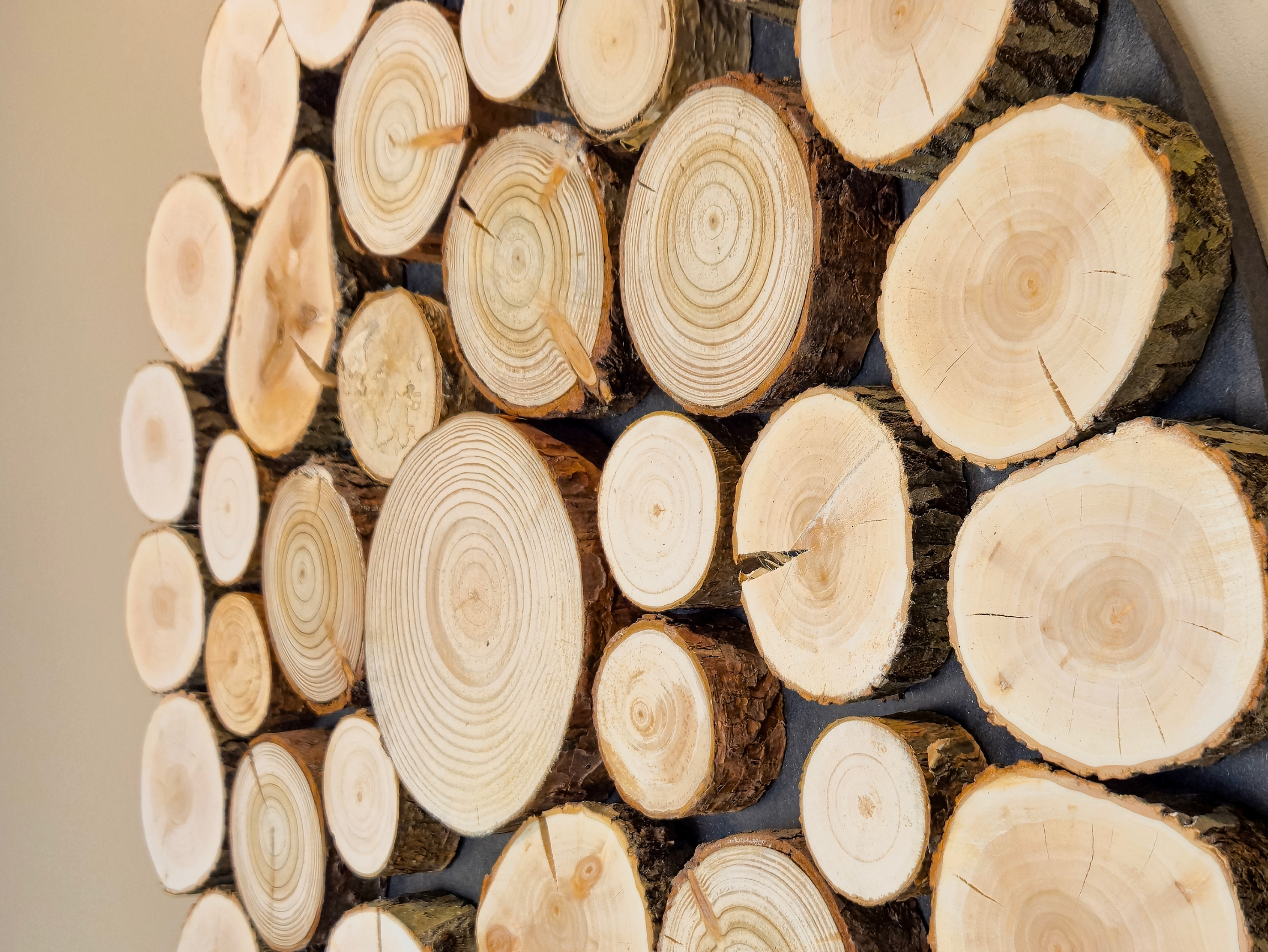 Obraz dekoracja okrąg, krążki drewna - 55 cm