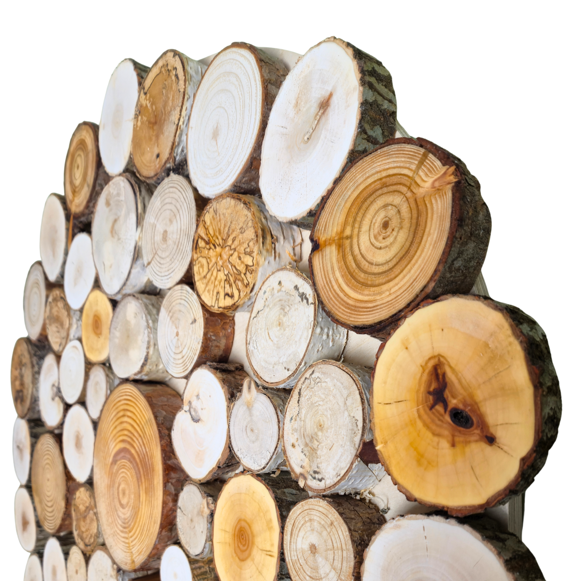 Obraz dekoracja okrąg, krążki drewna - 65 cm