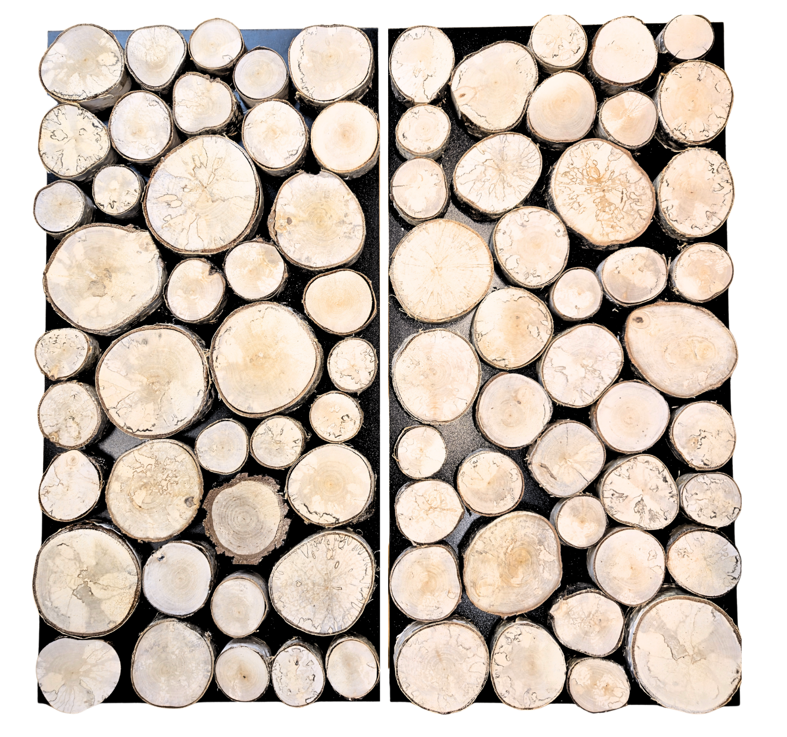 Panel ścienny krążki drewna BRZOZA 38x76 cm