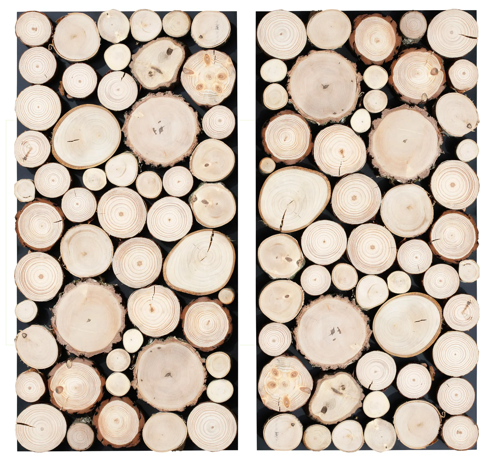 Panel ścienny krążki drewna sosna i brzoza - 38x76 cm