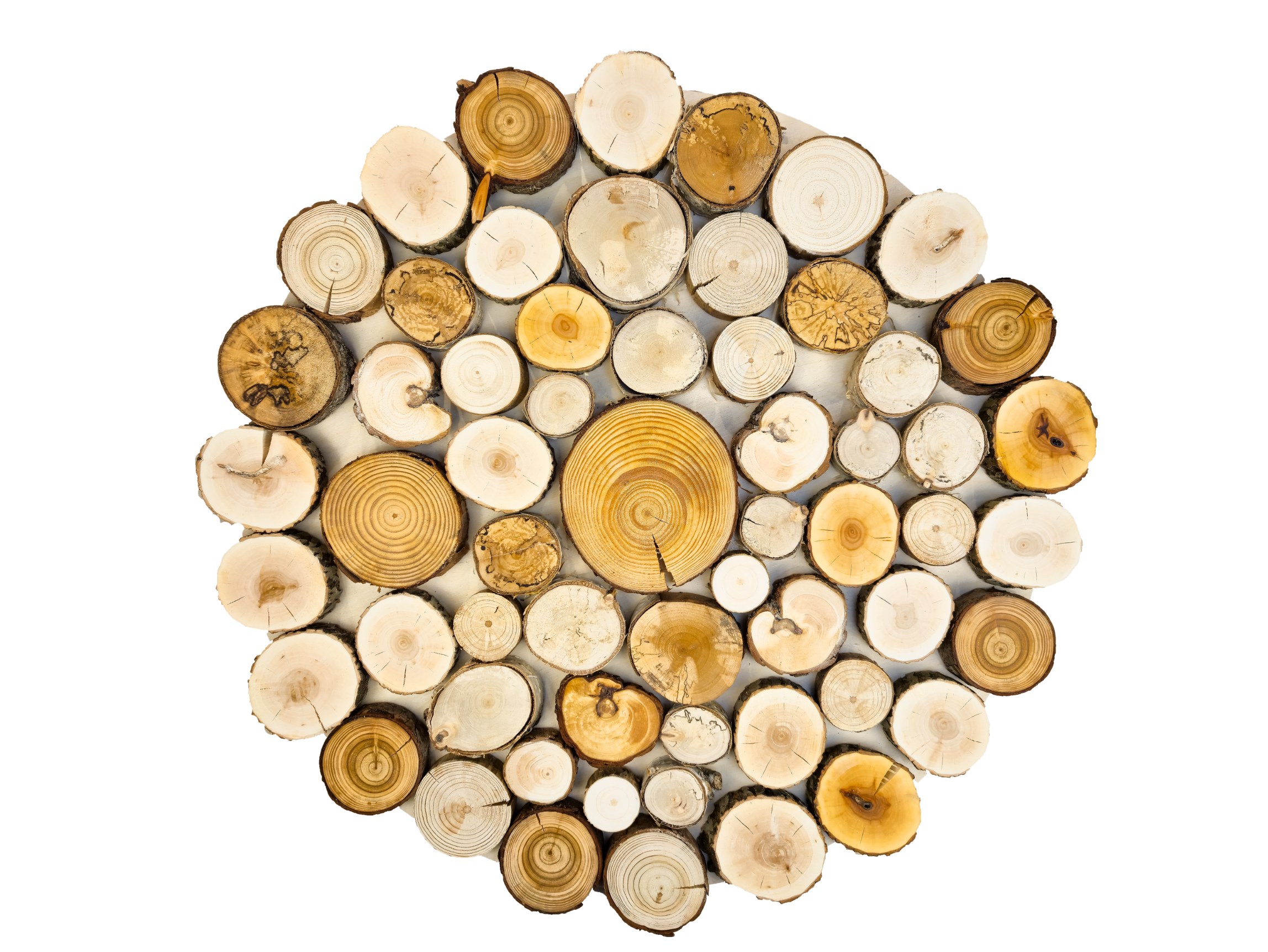 Obraz dekoracja okrąg, krążki drewna - 65 cm