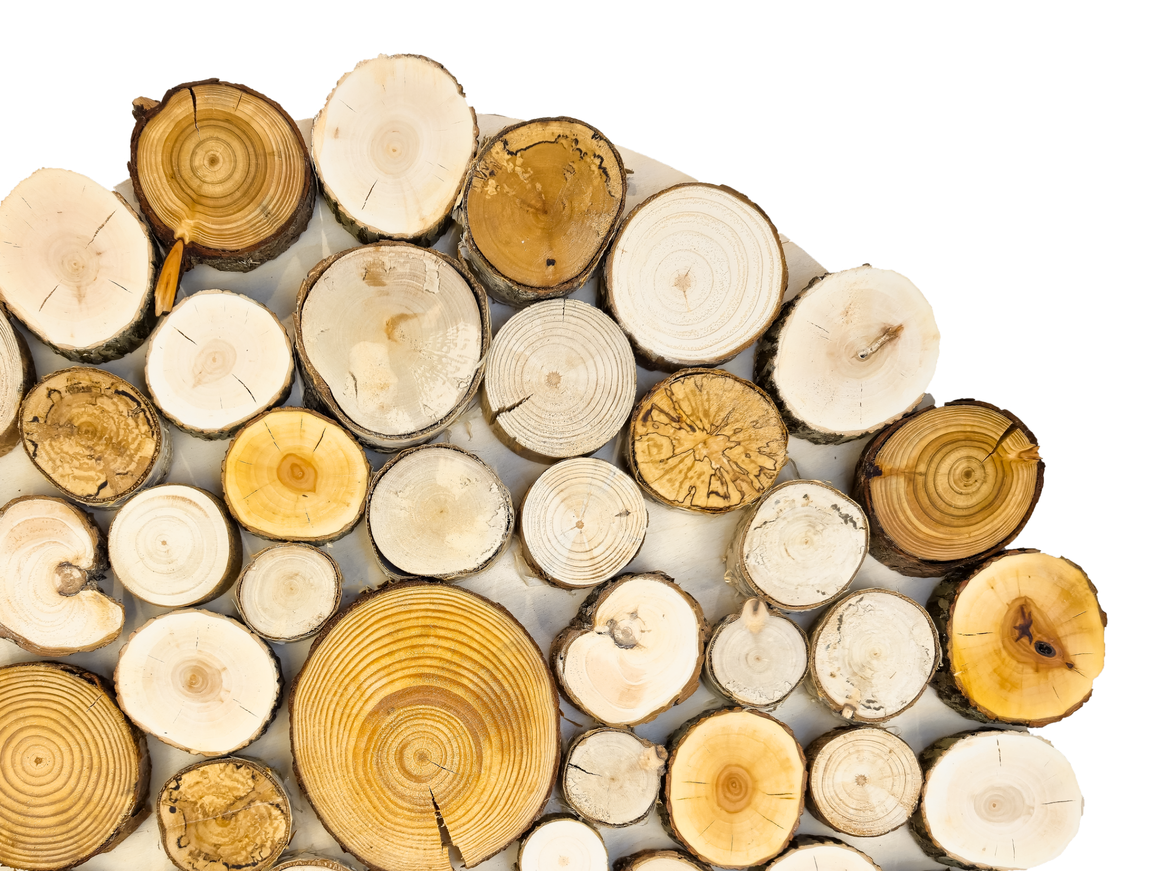 Obraz dekoracja okrąg, krążki drewna - 65 cm