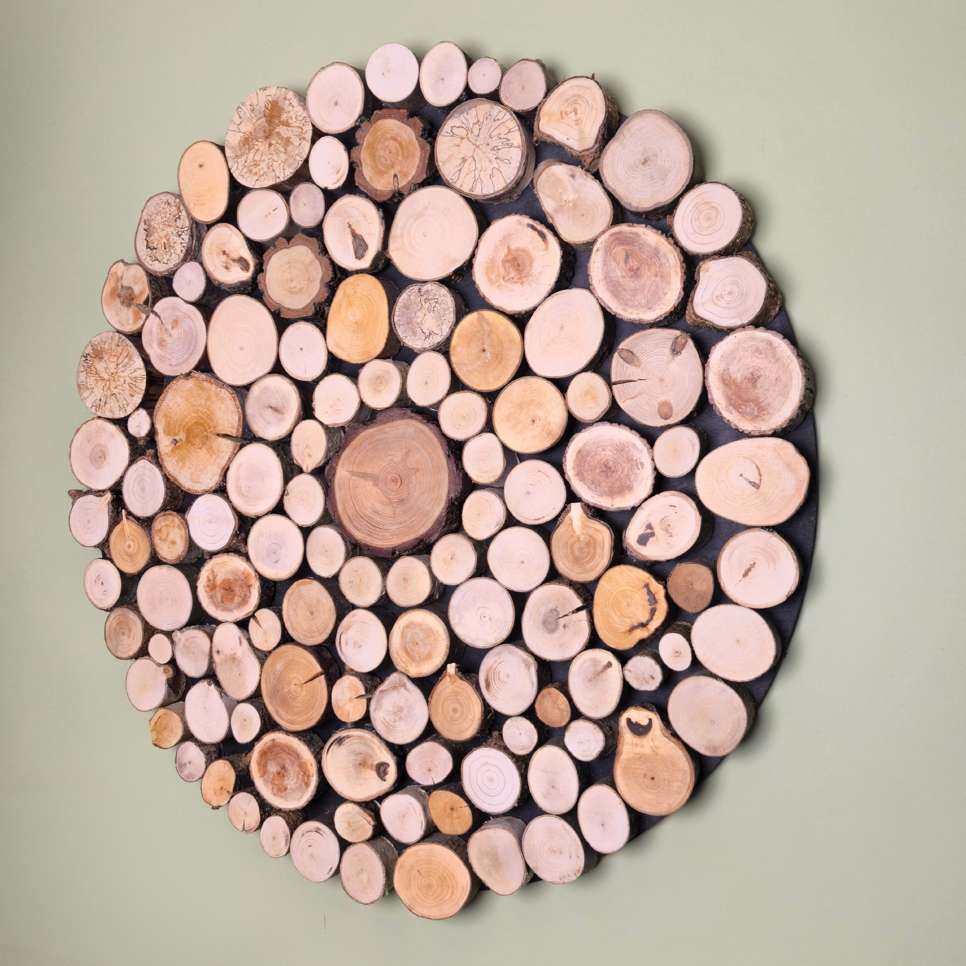 Obraz dekoracja okrąg, krążki drewna - 80 cm