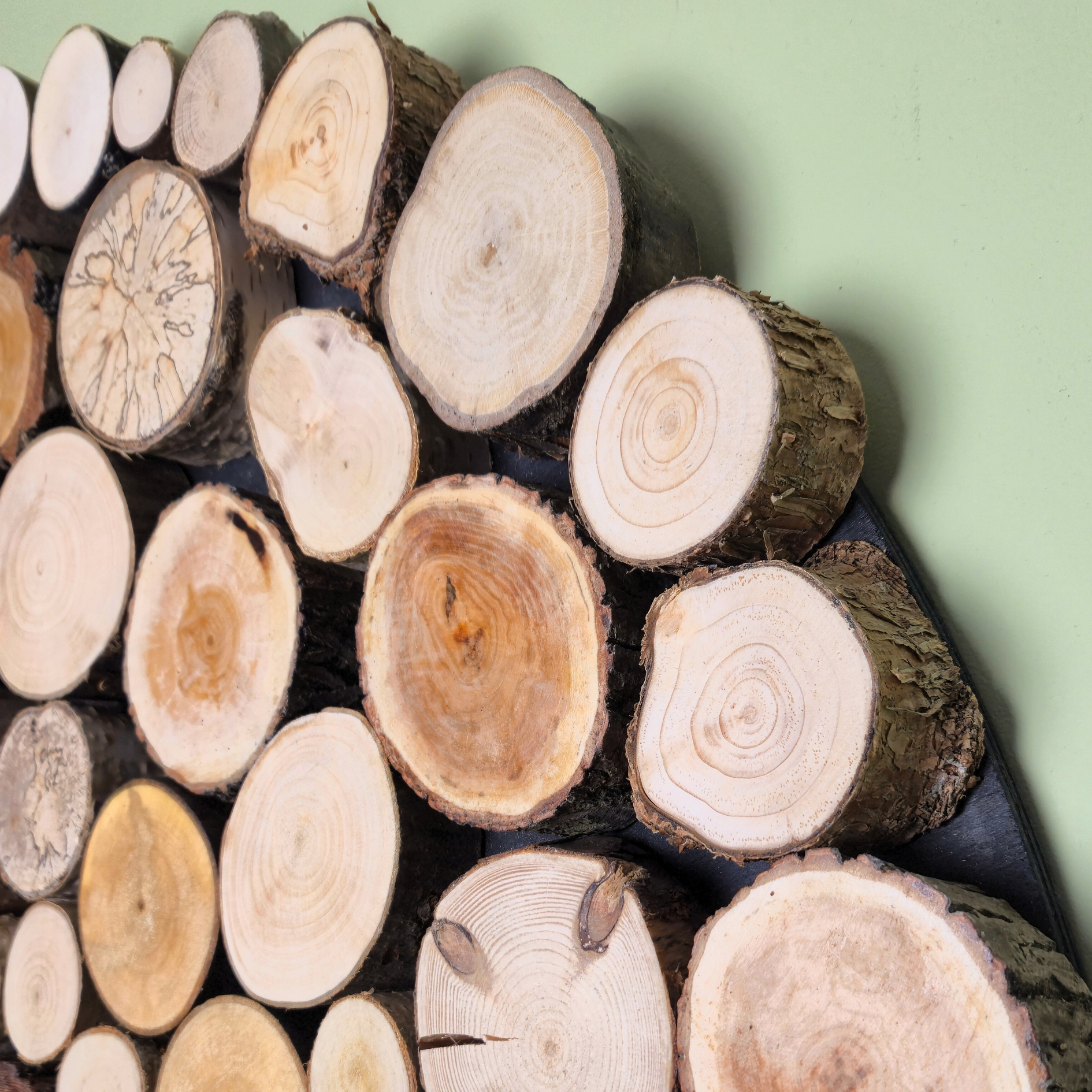 Obraz dekoracja okrąg, krążki drewna - 80 cm