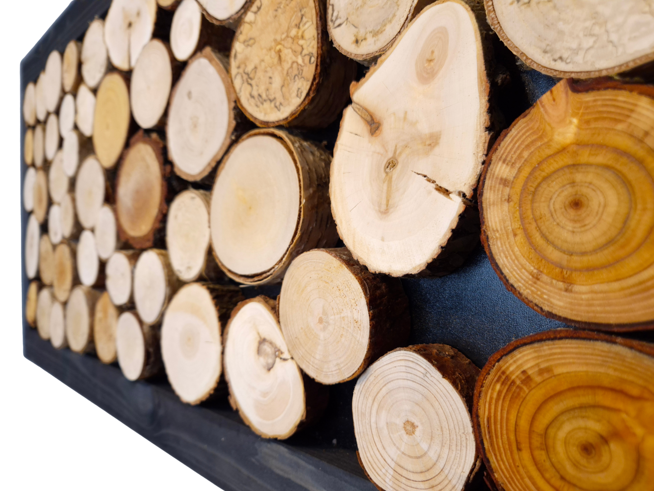 Obraz z krążków drewna 80x41 cm