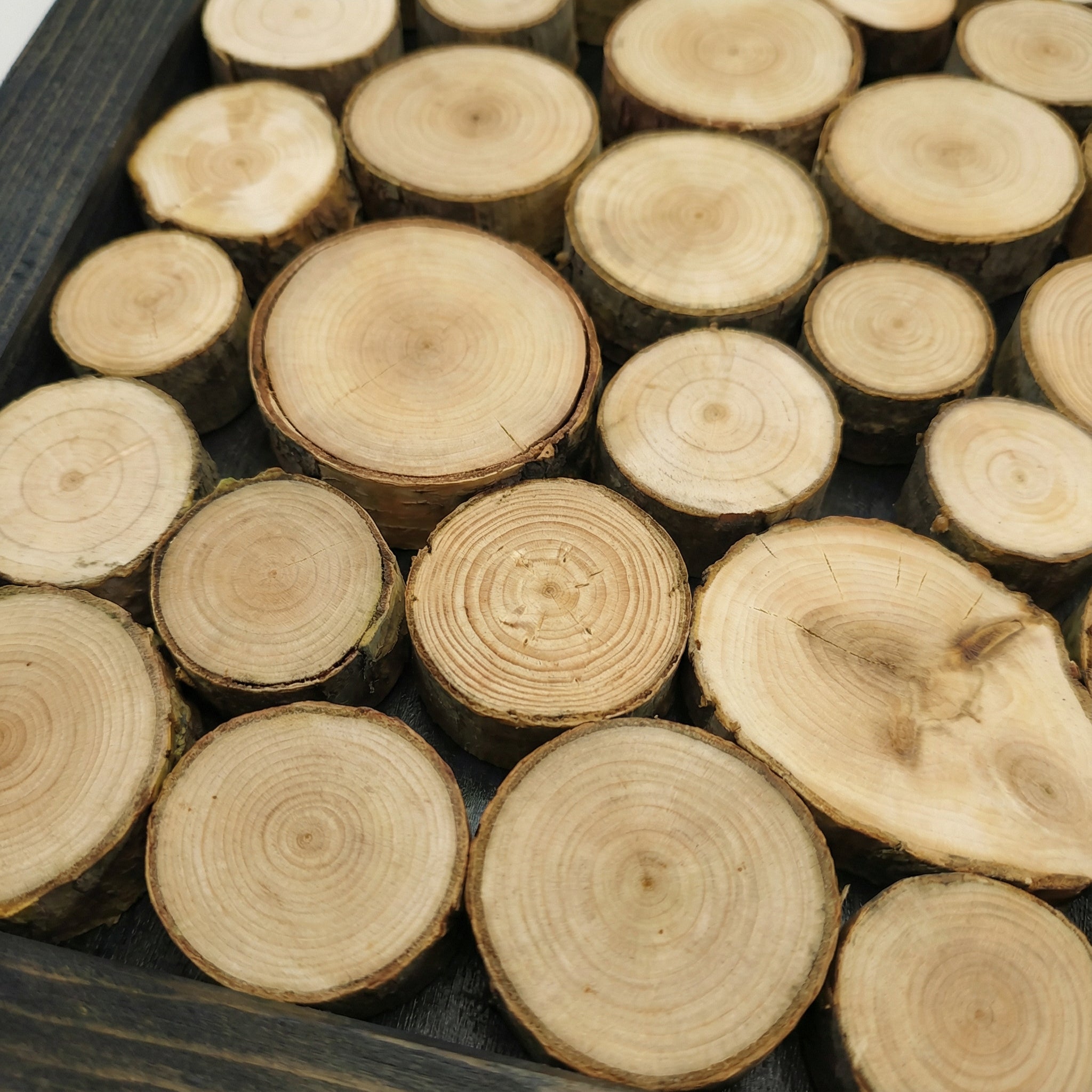 Obraz z krążków drewna 41x41 cm