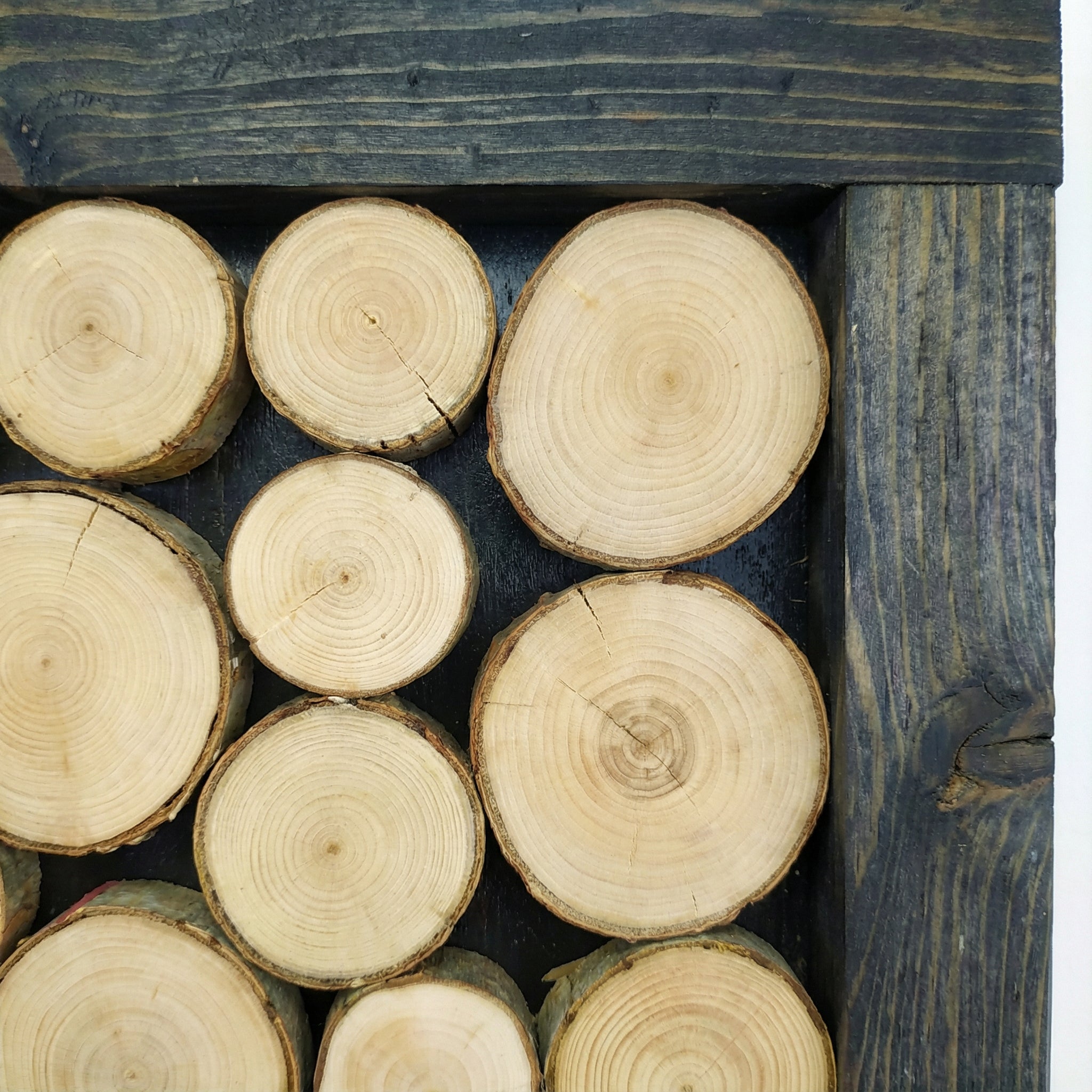 Obraz z krążków drewna 41x41 cm