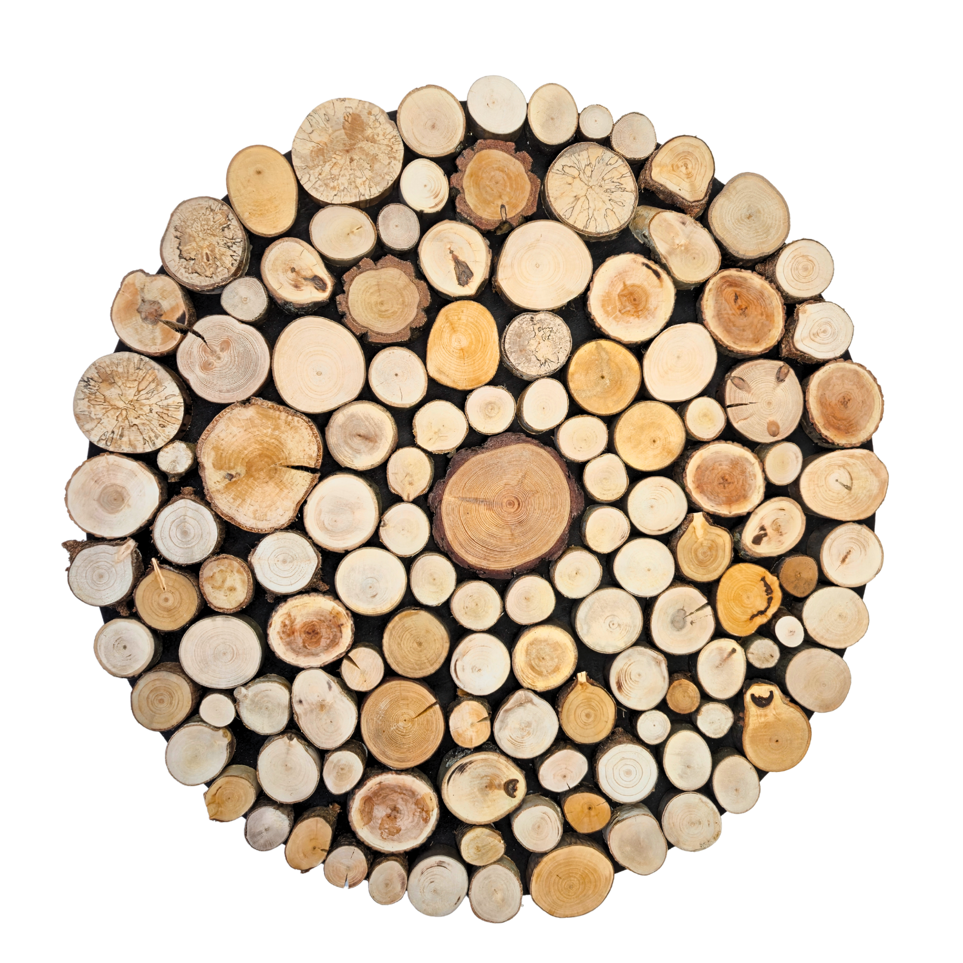 Obraz dekoracja okrąg, krążki drewna - 80 cm