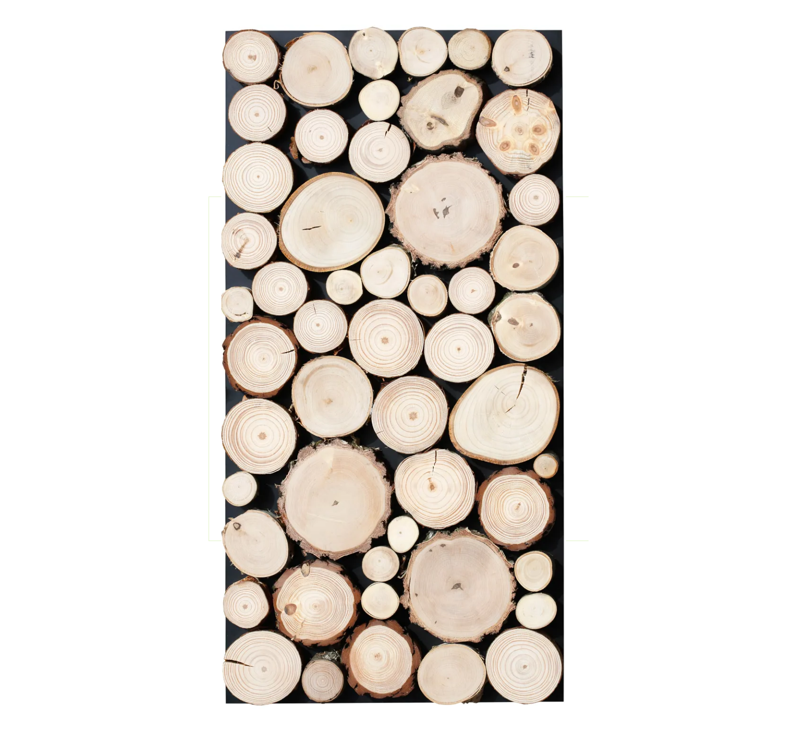 Panel ścienny krążki drewna sosna i brzoza - 38x76 cm