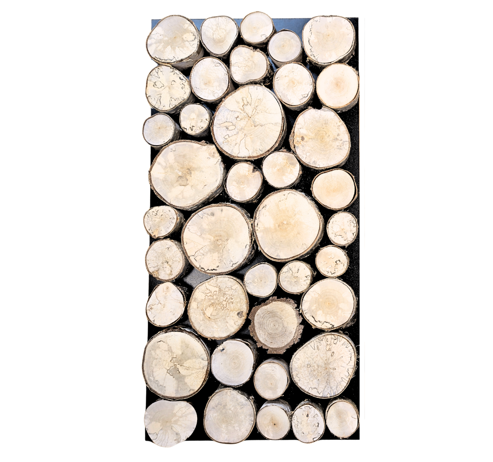 Panel ścienny krążki drewna BRZOZA 38x76 cm