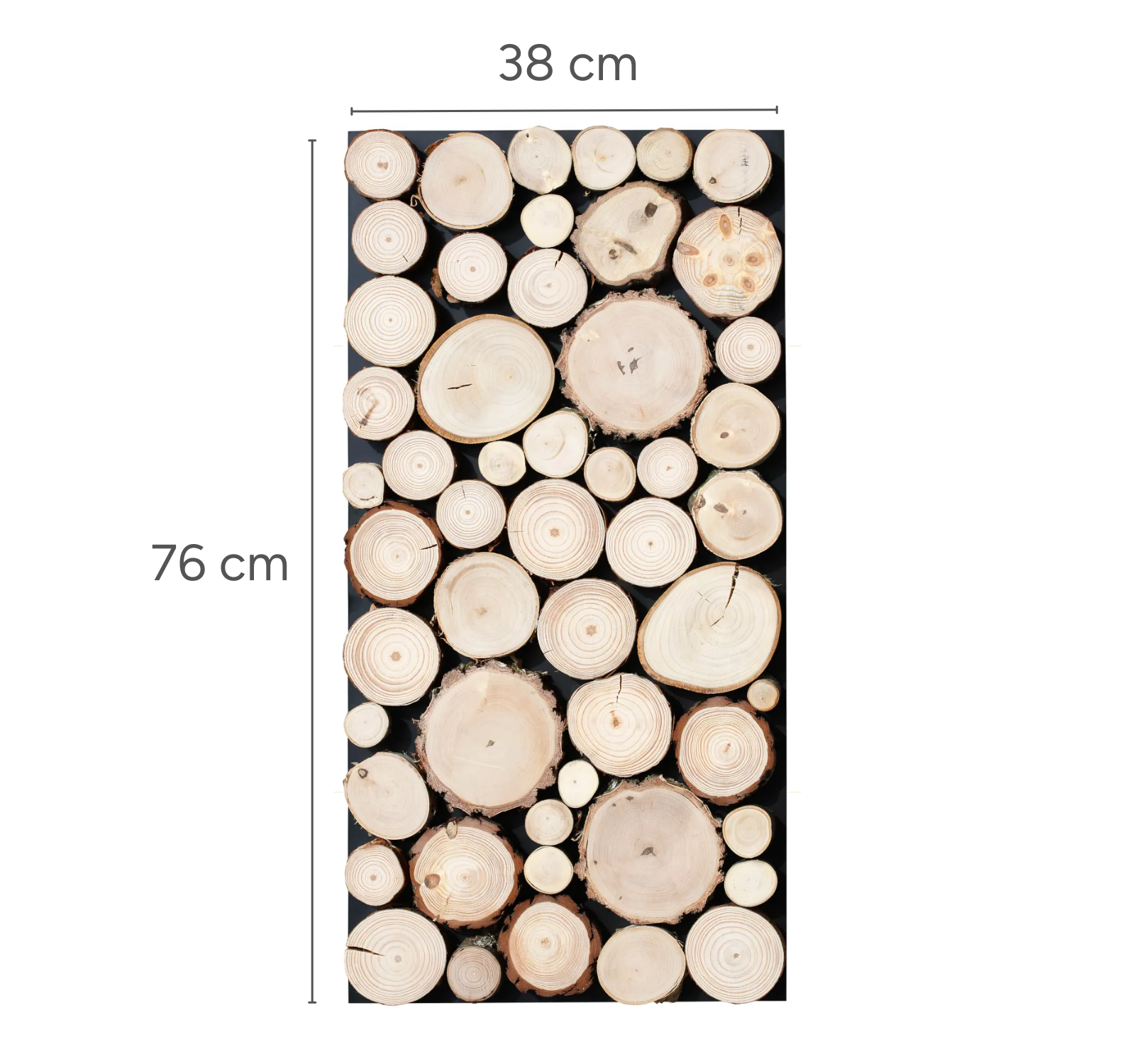 Panel ścienny krążki drewna sosna i brzoza - 38x76 cm